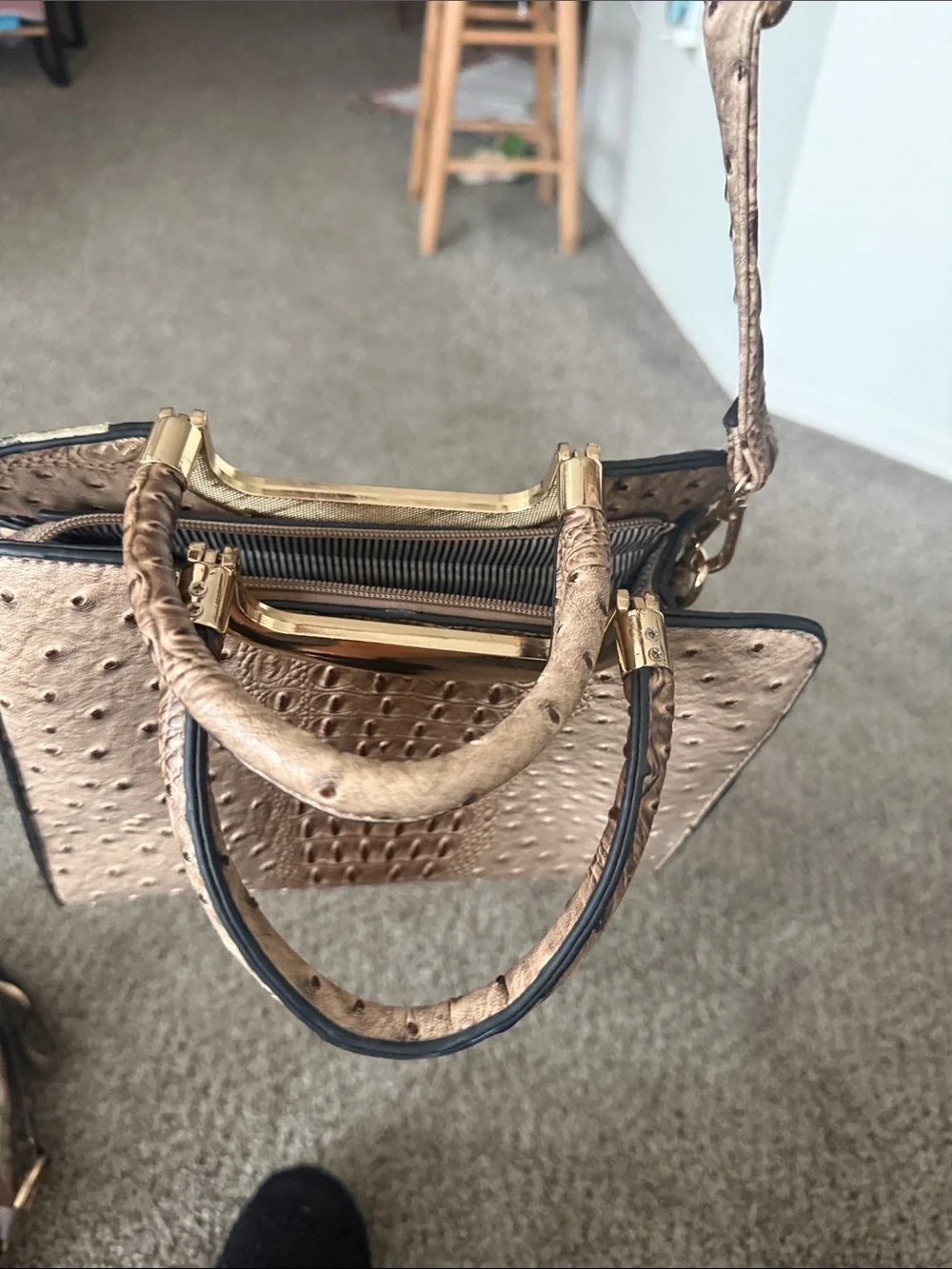 Unknown elegant brown